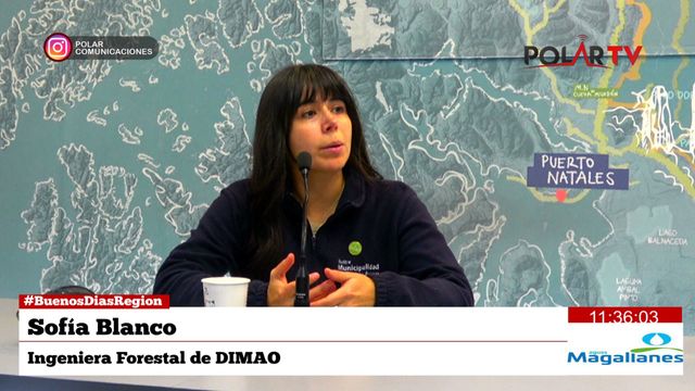 sofiadimao