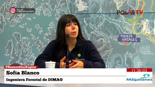 sofiadimao sofiadimao