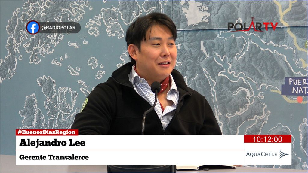 transalerce transalerce