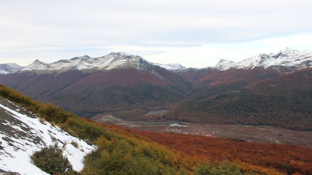 parquekarukinka