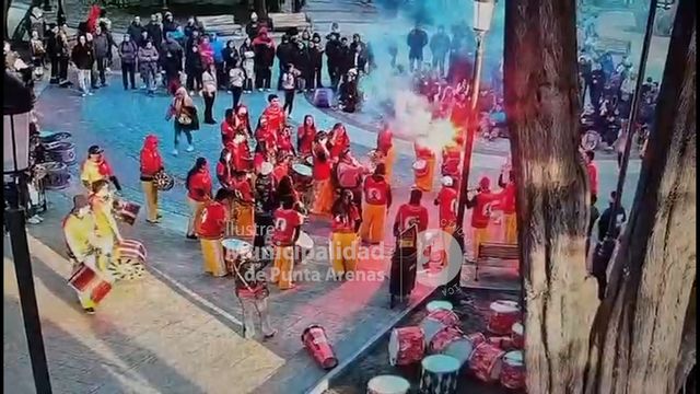 BENGALA EN PLAZA (2)