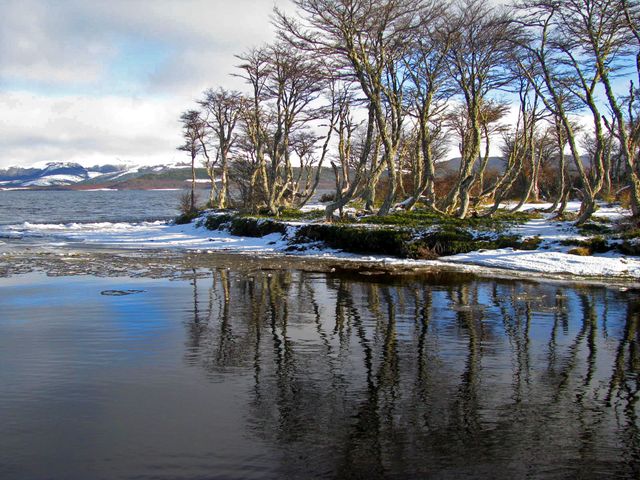 Reserva Laguna Parrillar (3)