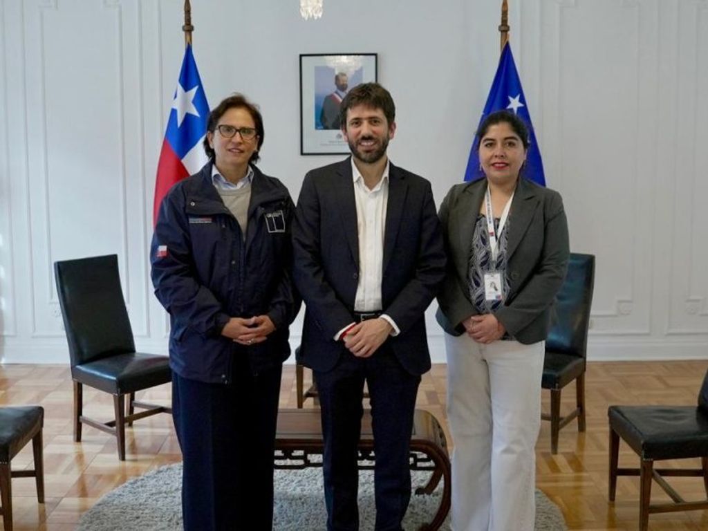 subsecretariamagallanesdelito