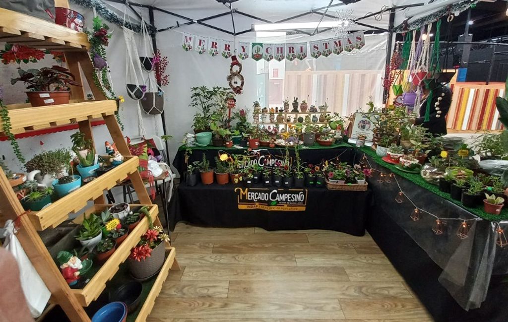 mercado 04 mercado 04