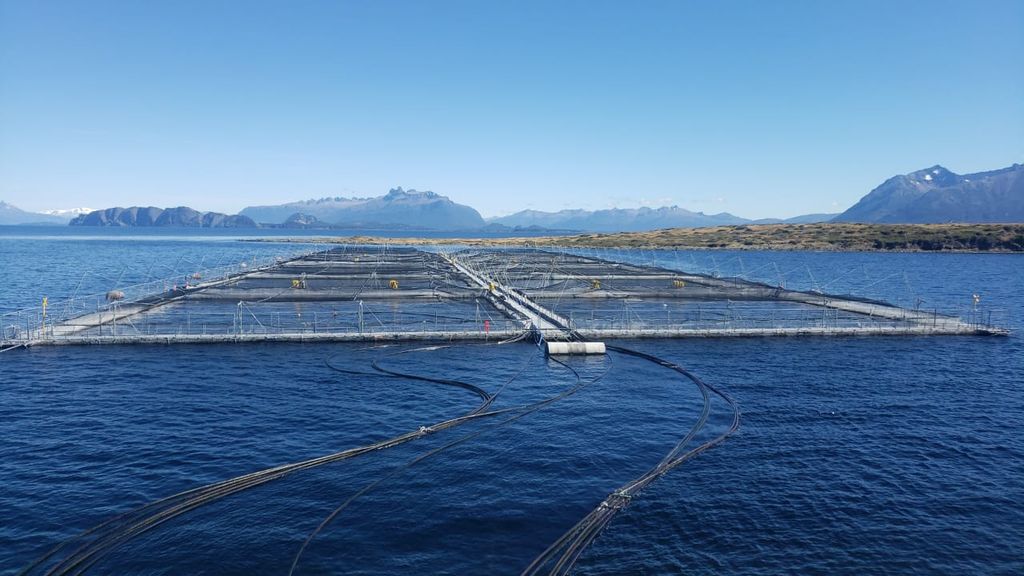 Nova Austral centro cultivo Nova Austral centro cultivo