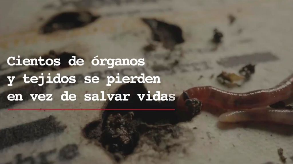 foto_0000000120240617191314 foto_0000000120240617191314