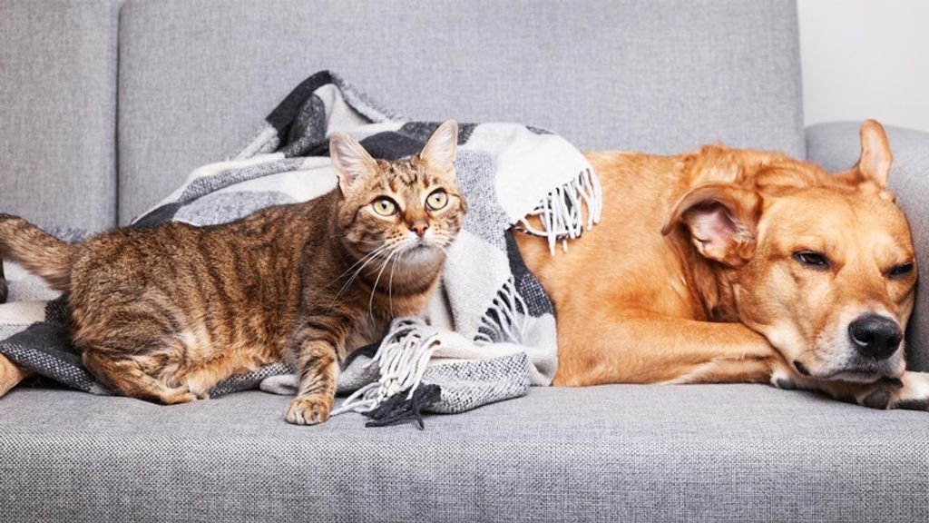 n9DnKRZjz02kxzgjfAXI n9DnKRZjz02kxzgjfAXI