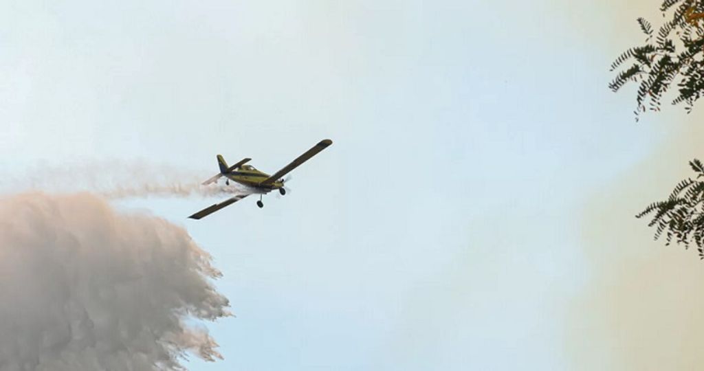 balance-por-incendios-forestales