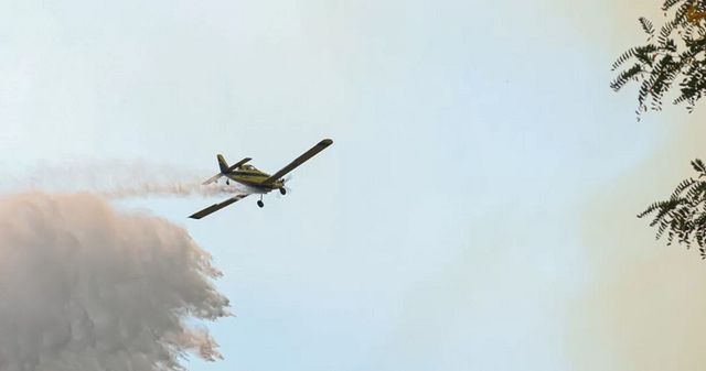 balance-por-incendios-forestales balance-por-incendios-forestales