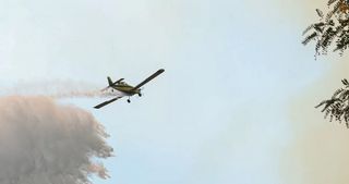 balance-por-incendios-forestales