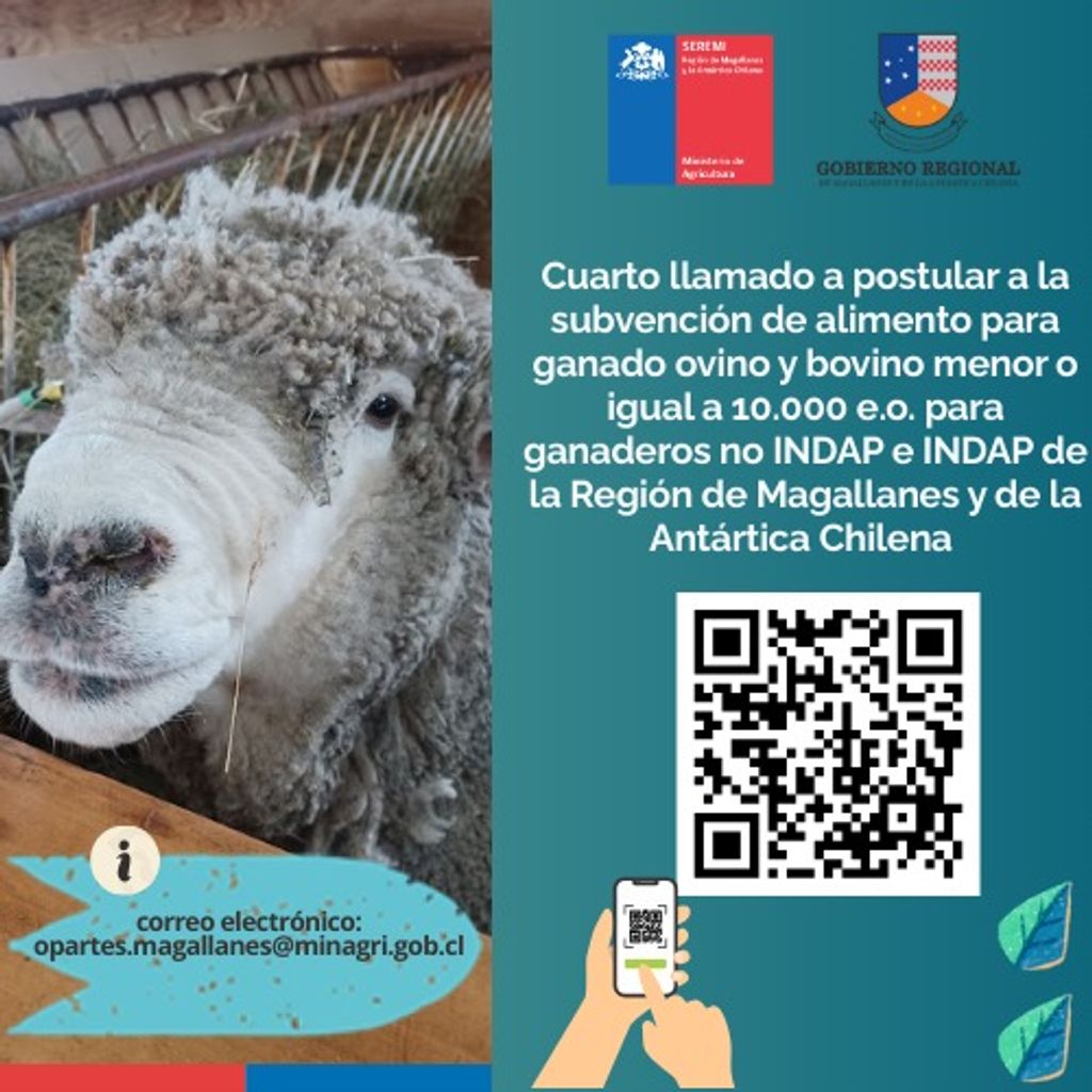 concurso forraje 4 concurso forraje 4