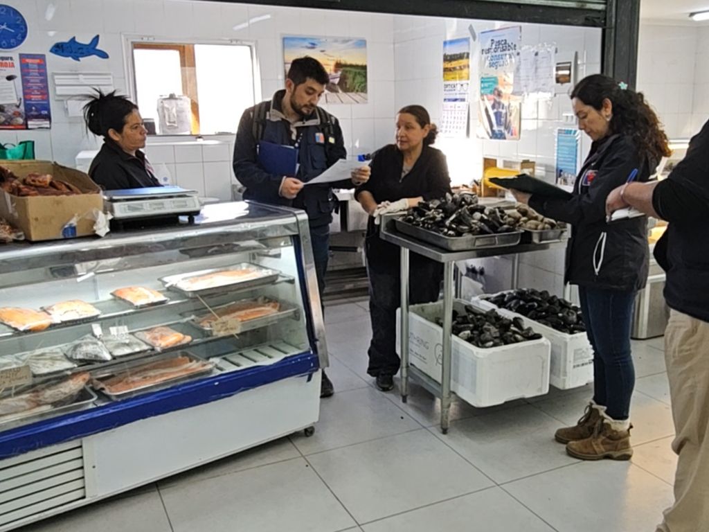 fiscalización natales3 fiscalización natales3