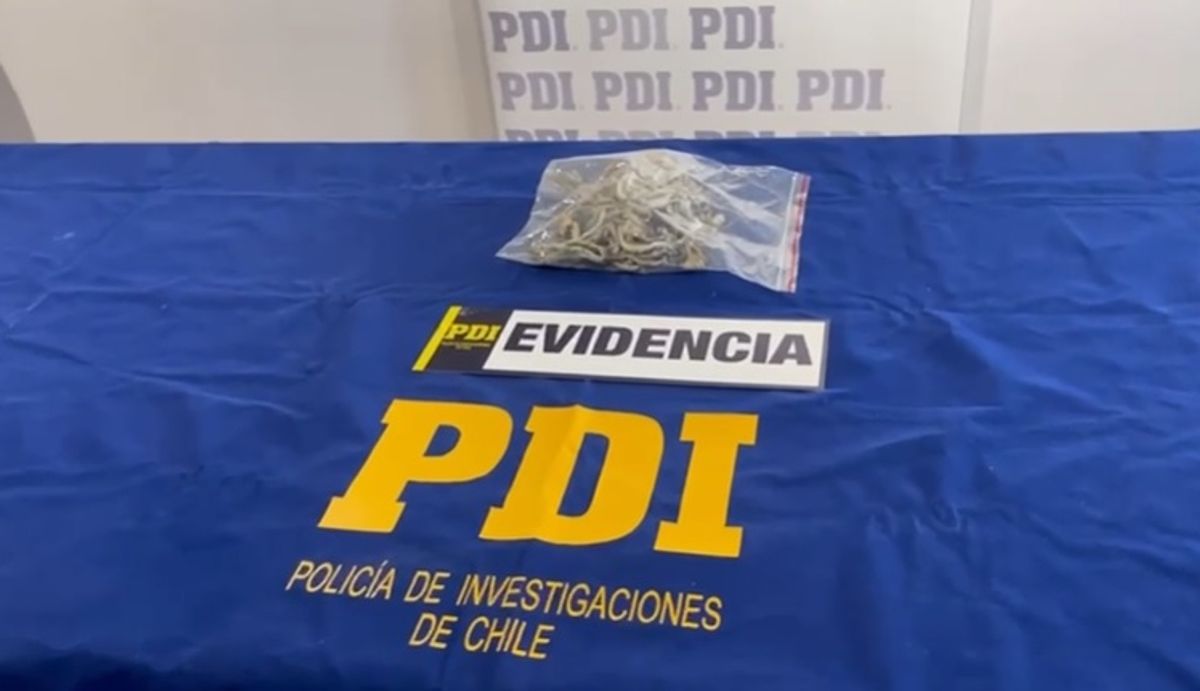 PDI PUERTO NATALES DETIENE A UNA MUJER POR EL DELITO DE MICROTRÁFICO