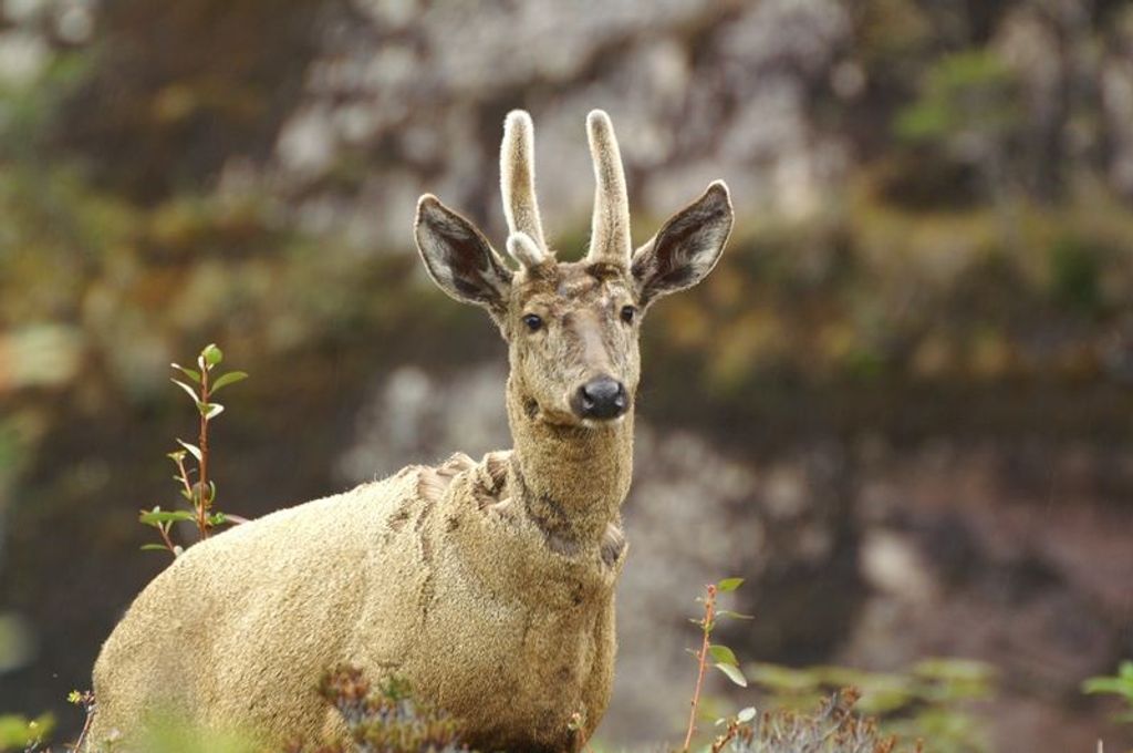 Credito ONG Aumen 2 Credito ONG Aumen 2