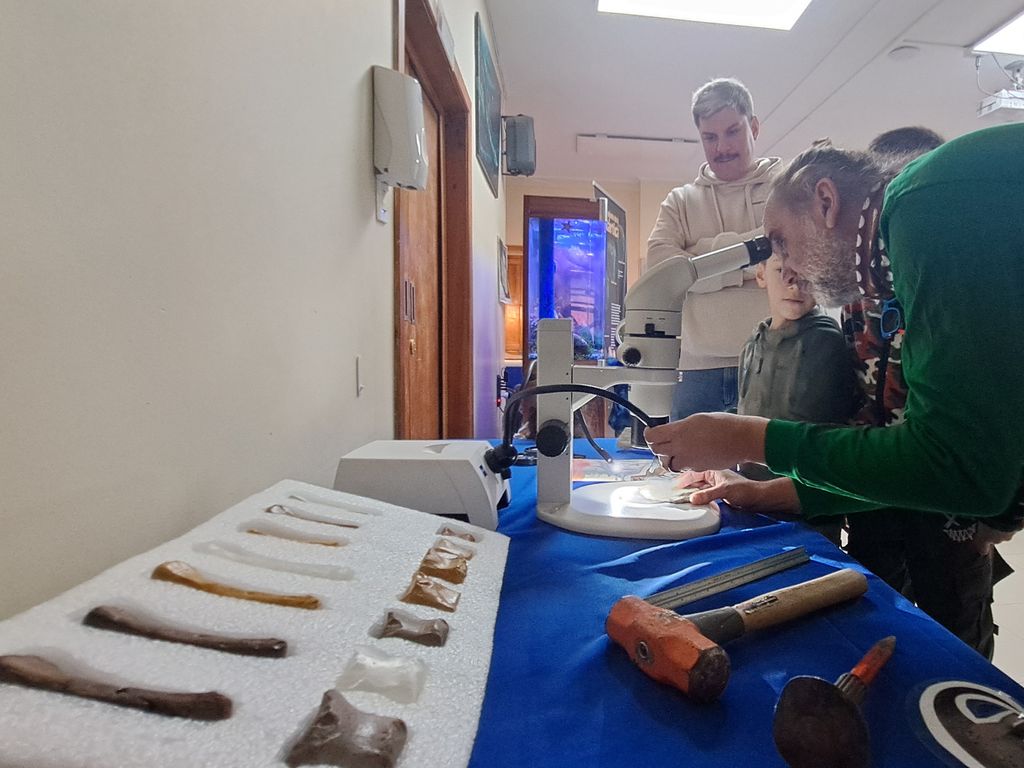 20241020_113144 20241020_113144