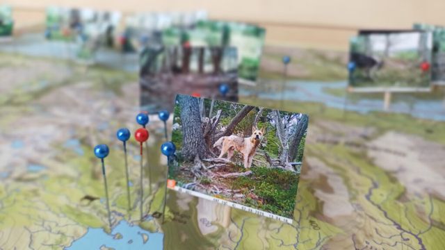 nota171225C-1024x576 nota171225C-1024x576