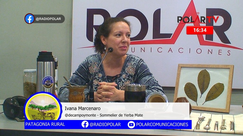 Imagen de WhatsApp 2024-07-26 a las 16 Imagen de WhatsApp 2024-07-26 a las 16