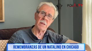 natalinoenchicago