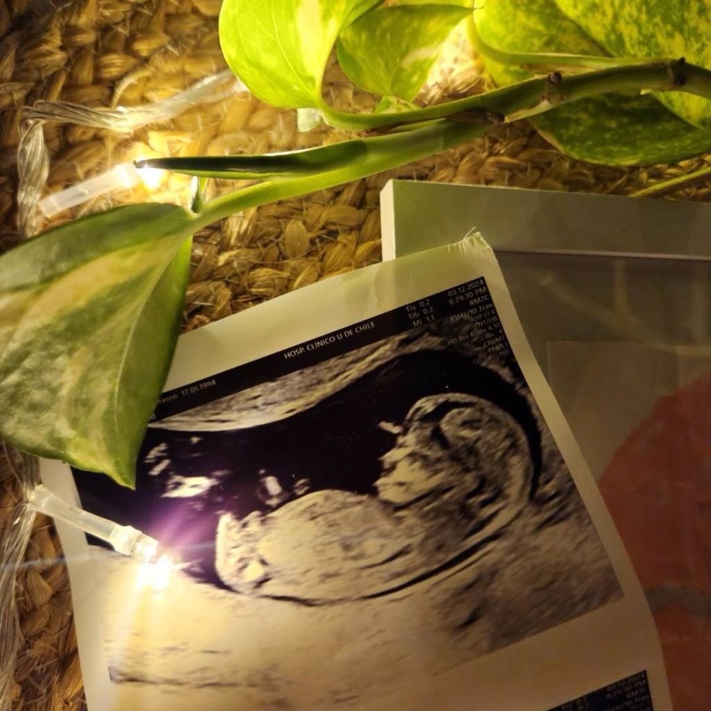 La vida y sus bigbanes La vida y sus bigbanes