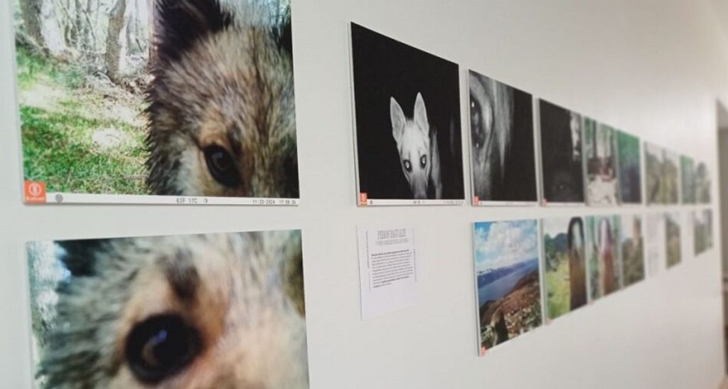 nota171225x-1024x619