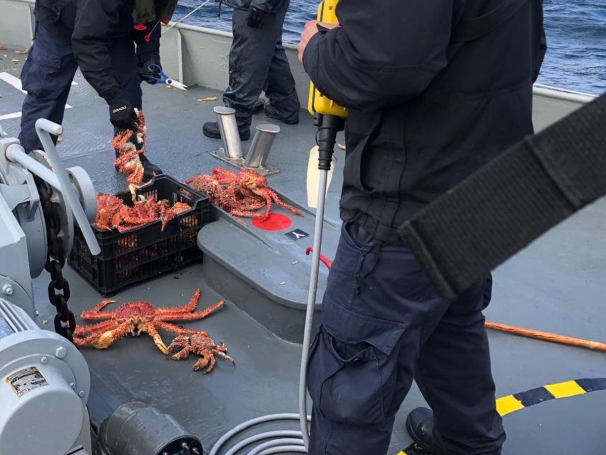 CONDENAN A ARMADOR AL PAGO DE UNA MULTA POR OBSTACULIZAR FISCALIZACIÓN Y EXTRAER RECURSOS DE MANERA ILEGAL