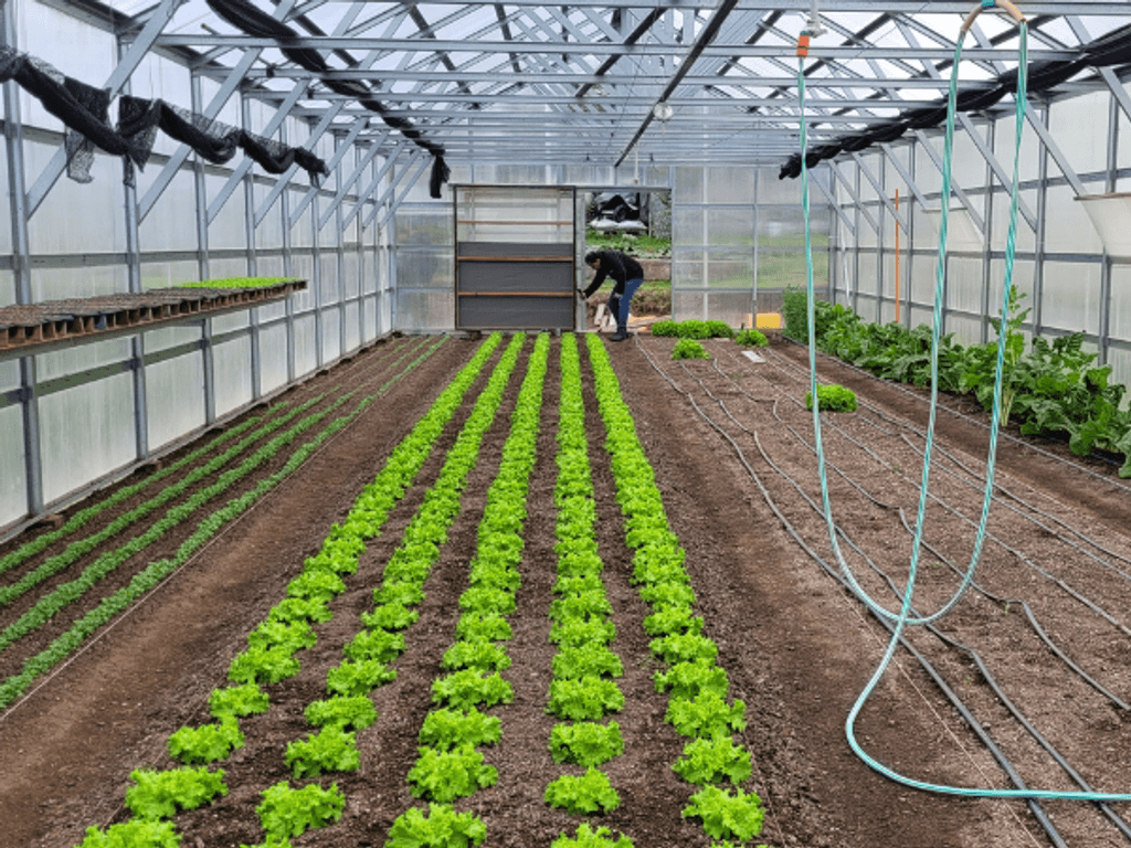 as7f60ASXZC as7f60ASXZC