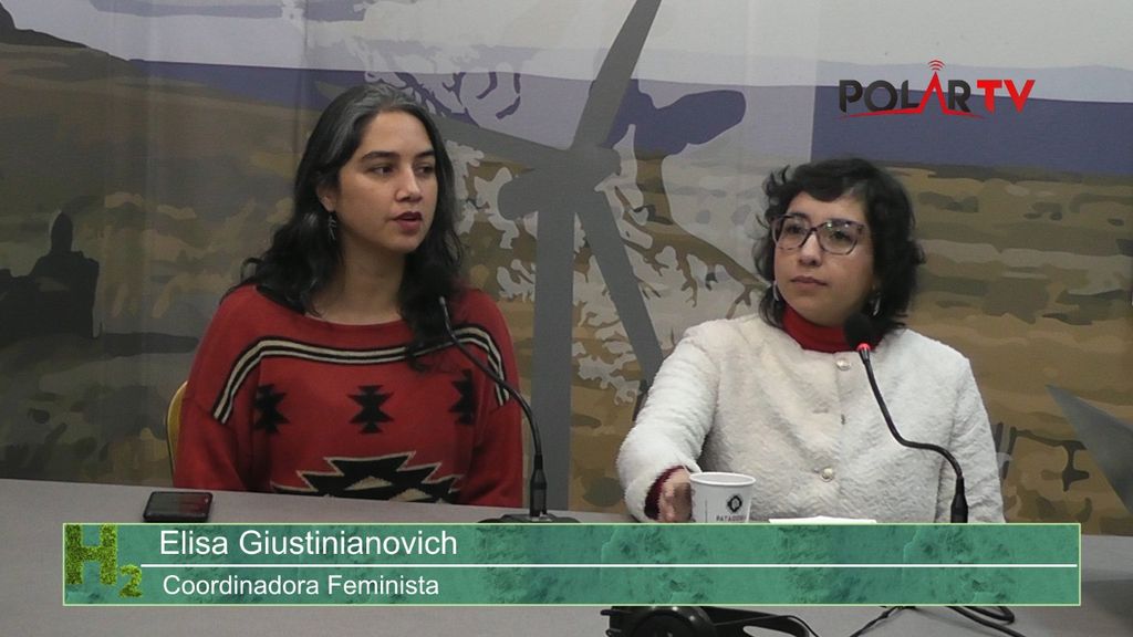 seminariopanelciudadanoh2v