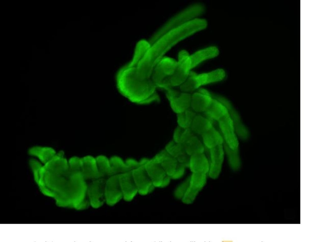 D0_fMtjYSJJU D0_fMtjYSJJU