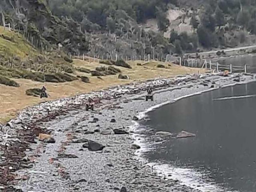 «RESPETO A NUESTRAS AVES, CABO DE HORNOS» «RESPETO A NUESTRAS AVES, CABO DE HORNOS»