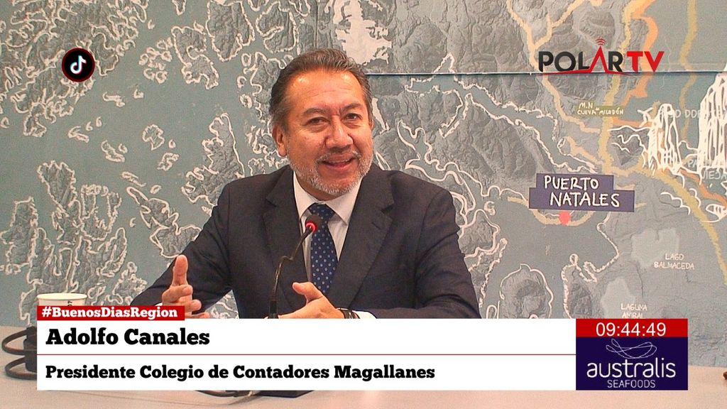 contadoresmagallanes contadoresmagallanes