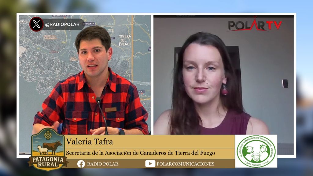 WhatsApp Image 2025-11-07 at 17 WhatsApp Image 2025-11-07 at 17