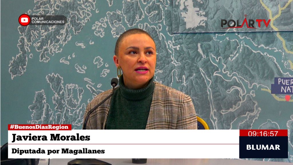 diputadamorales diputadamorales