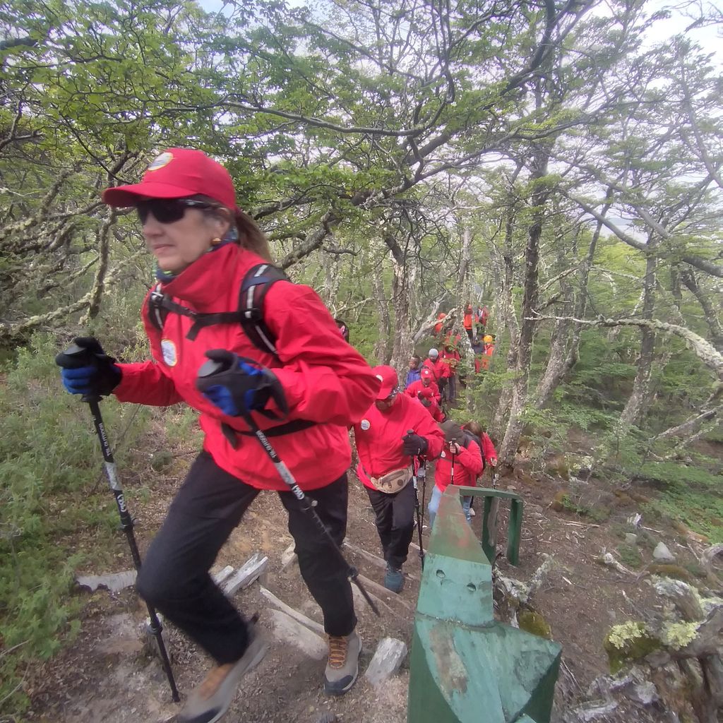 cmagostini cmagostini