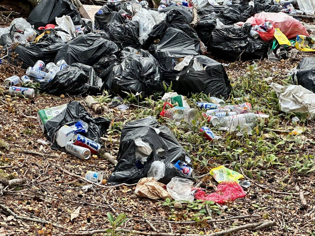 Detalle basura Detalle basura