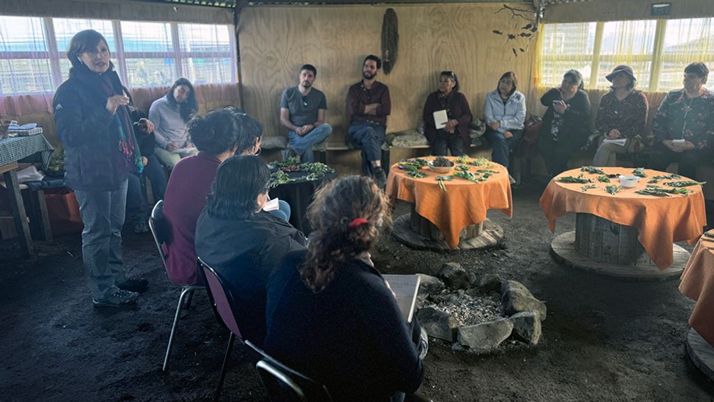 semilla_Natales01 semilla_Natales01