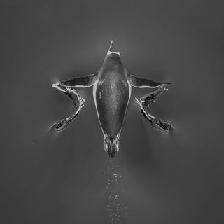 meterologochilenoantartica meterologochilenoantartica