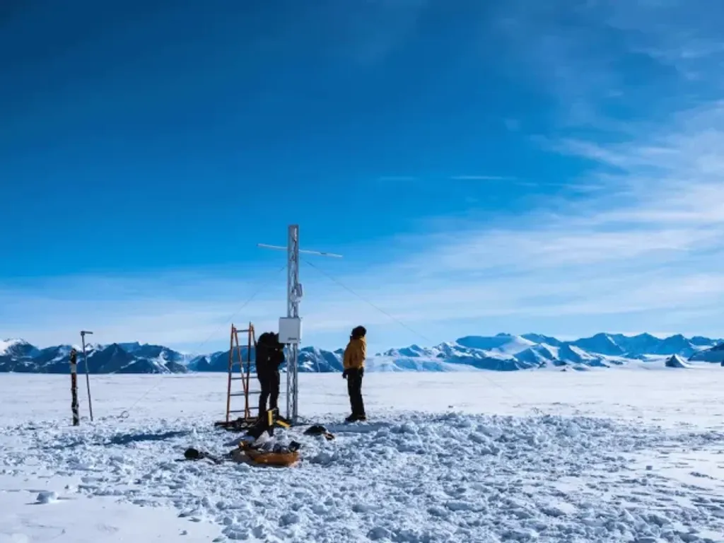 inachantartica inachantartica