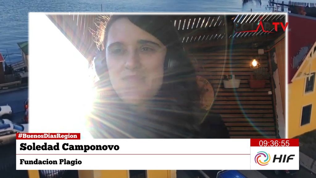 fundacionplagio fundacionplagio