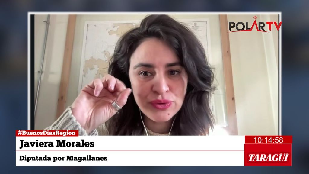 diputadamorales diputadamorales