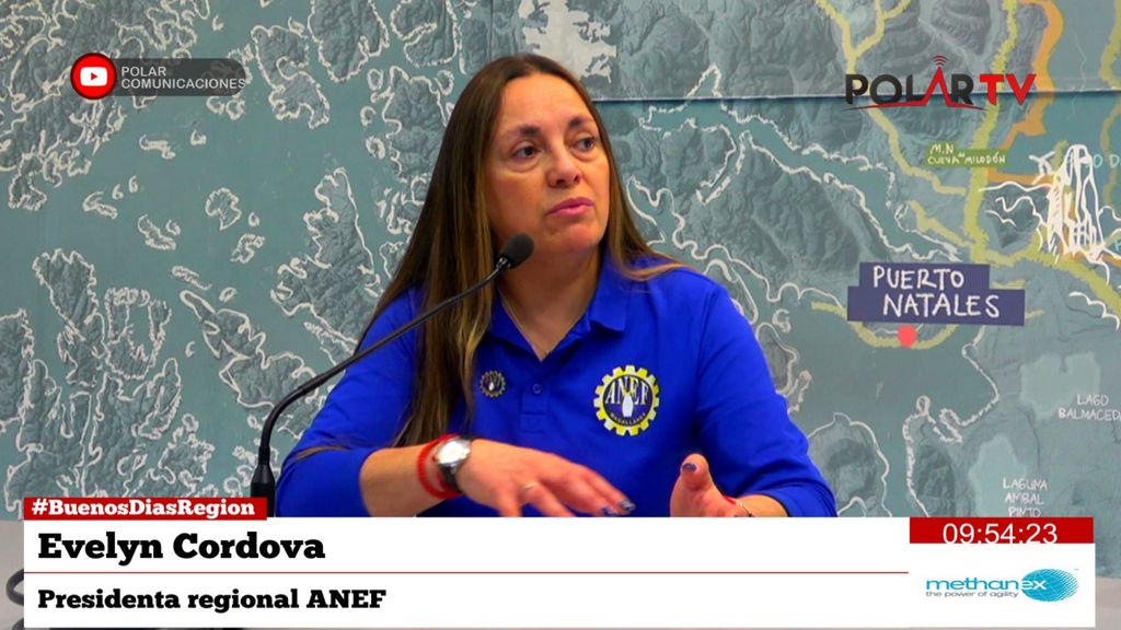 anefmagallanes
