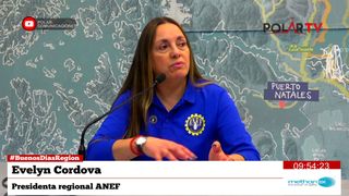 anefmagallanes