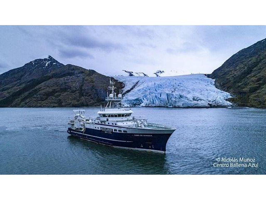 DETECTAN INUSUAL BLOOM DE MICROALGAS EN LA REGIÓN DE MAGALLANES