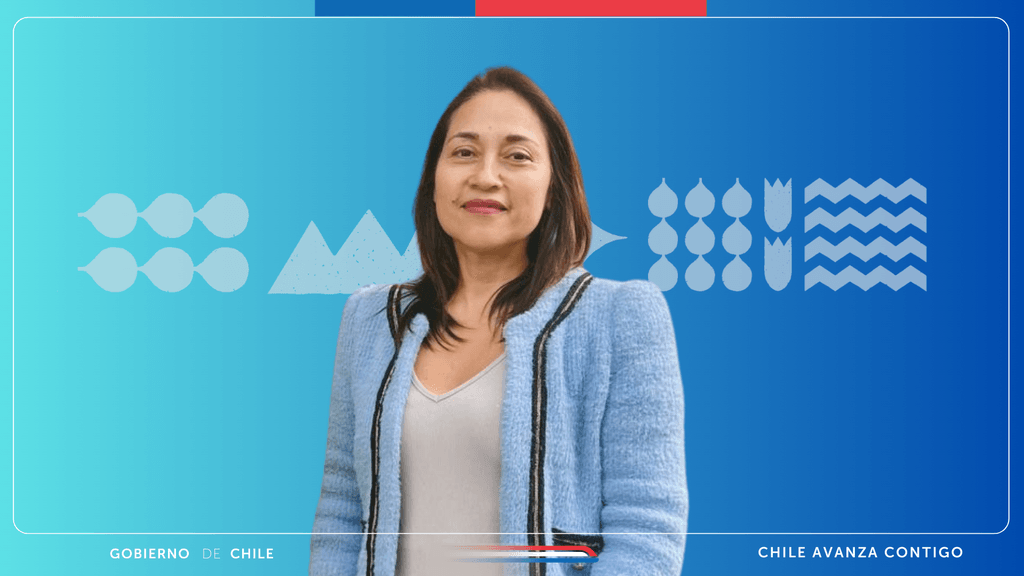 GOBIERNO-CHILE GOBIERNO-CHILE