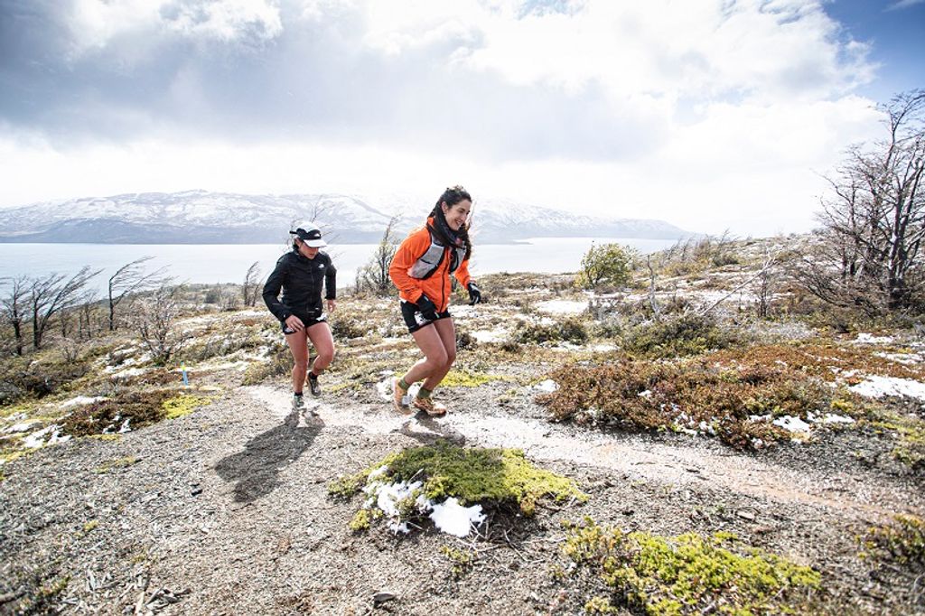 UTP24-Chmi-6416 UTP24-Chmi-6416