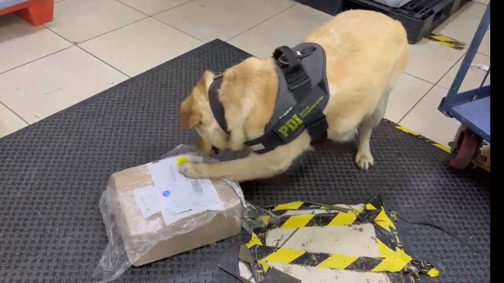 Imagen de WhatsApp 2025-01-17 a las 12 Imagen de WhatsApp 2025-01-17 a las 12