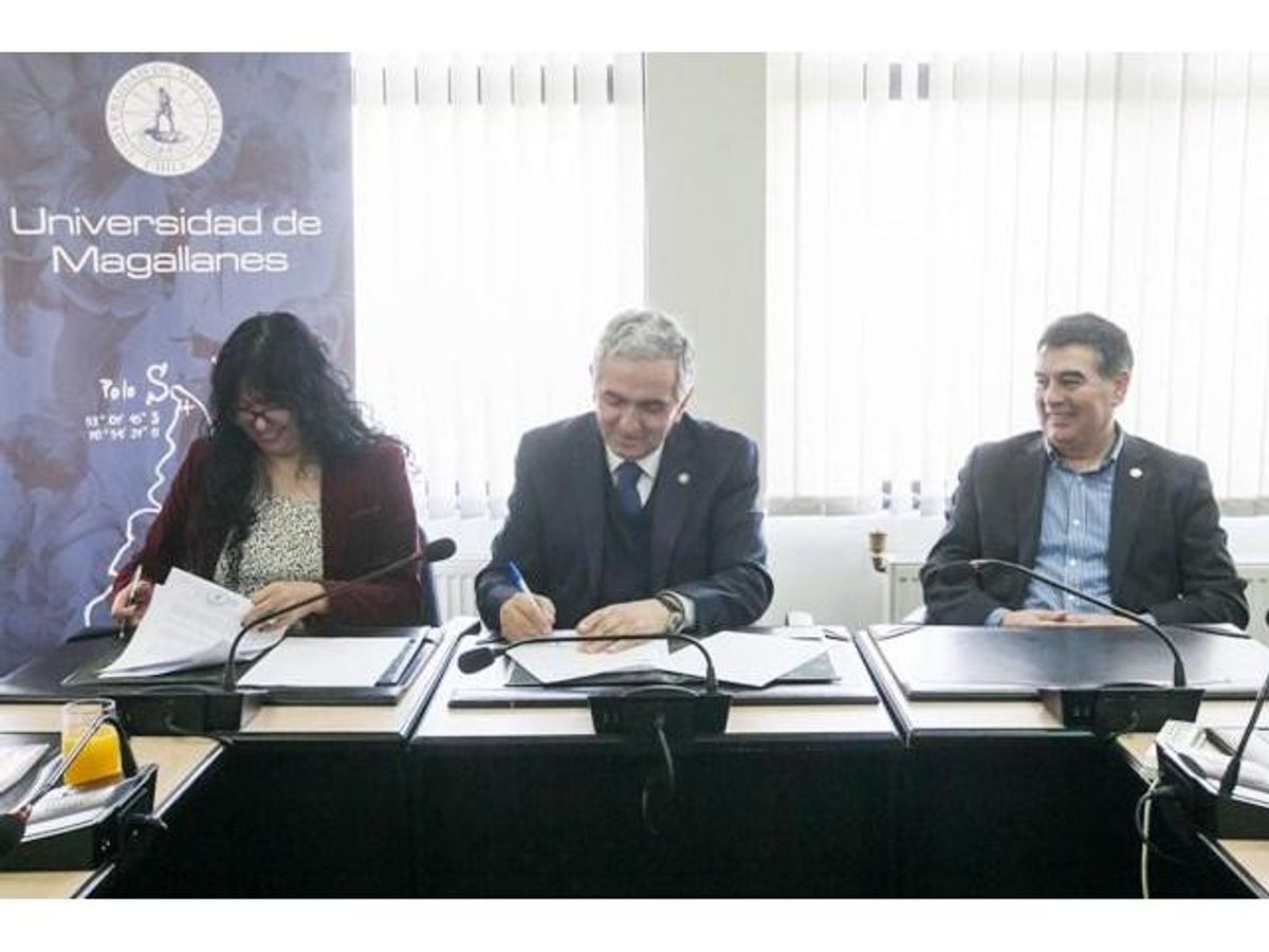 SII CAPACITARÁ A ESTUDIANTES DE LA UMAG PARA BRINDAR APOYO AL PROCESO ...
