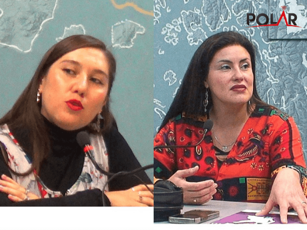 seremiculturasmagallanes seremiculturasmagallanes