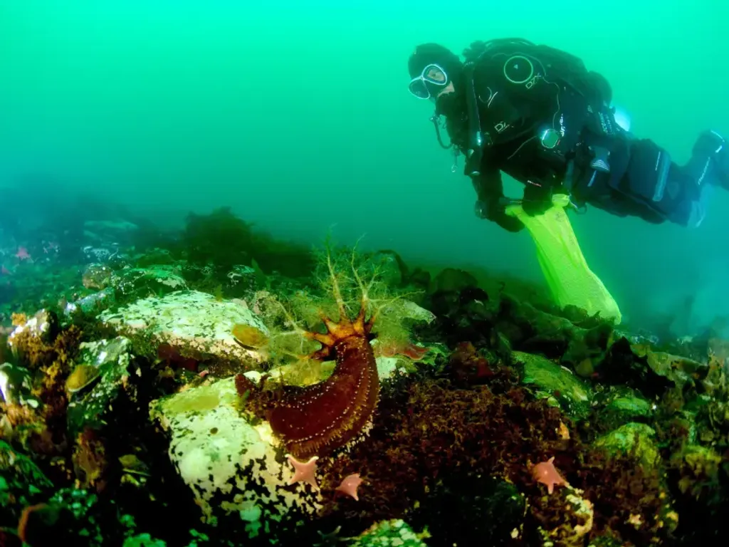 Milenio-BASE-Antartica-Elie-Poulin_Credito_Ignacio-Garrido-2-1024x682