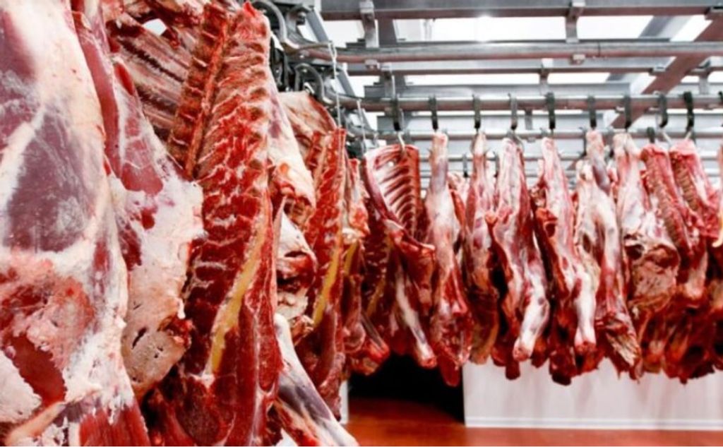 carne carne