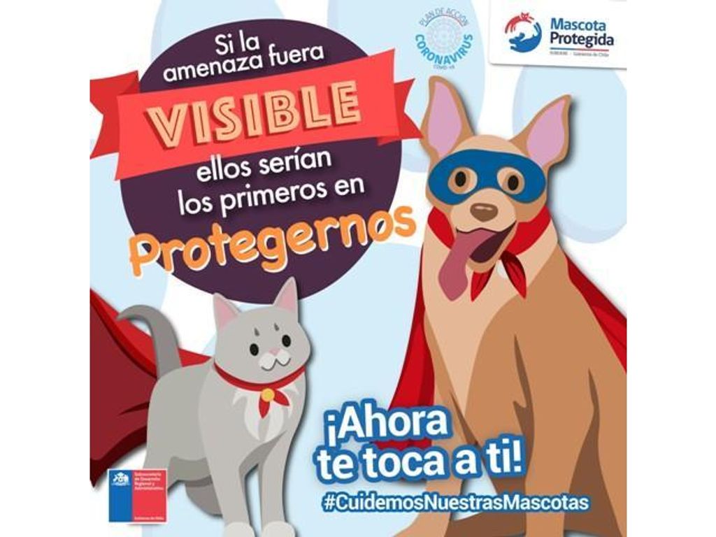 GOBIERNO LANZA CAMPAÑA PARA PREVENIR EL ABANDONO DE MASCOTAS POR COVID-19